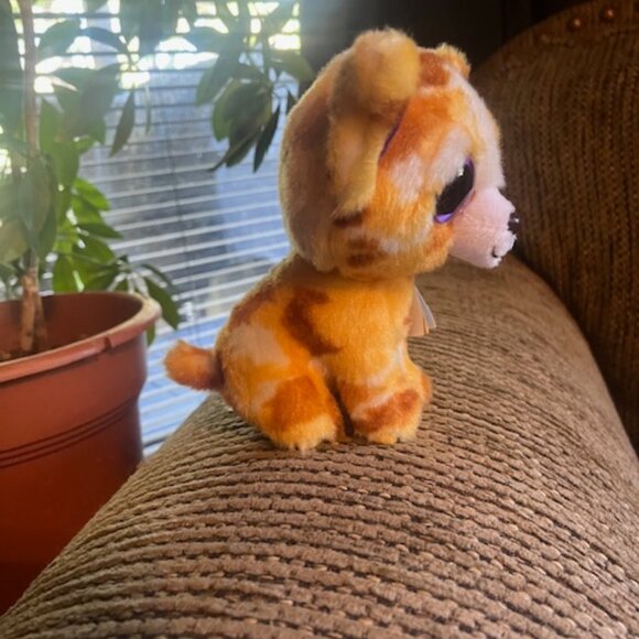 TY Beanie Boos Pablo the Chihuahua - Picture 4 of 4